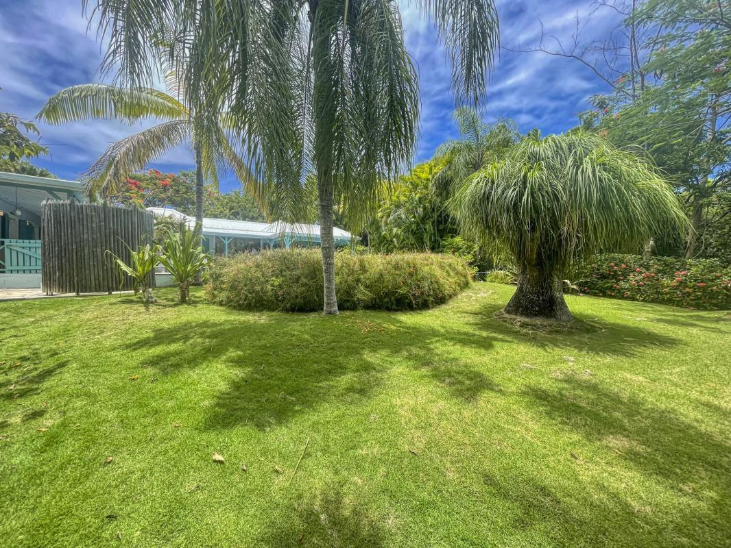 53.Location villa piscine Saint François Guadeloupe_Jardin
